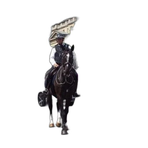 staff, hat, robot, animal, concept art, photorealistic, 3d render, fantasy art transparent PNG cut-out