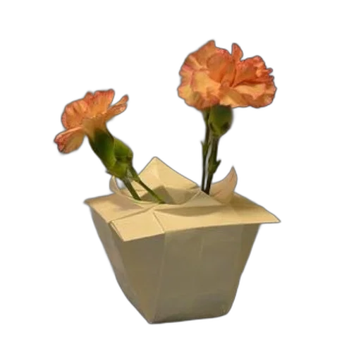 flower, crown, furniture, hat, 3d render, photorealistic, concept art, pixel art transparent PNG cut-out