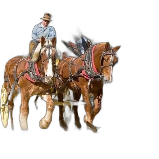 concept art, 3d render, photorealistic, fantasy art, man, cowboy, hat, rides transparent PNG cut-out
