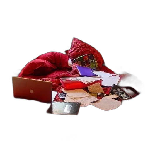 hat, jacket, jewelry, shoes, 3d render, red, messy, bed transparent PNG cut-out