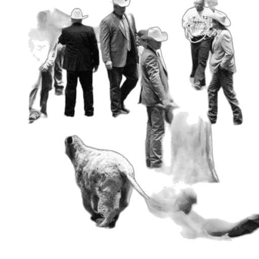 hat, animal, creature, staff, concept art, photorealistic, monochrome, black transparent PNG cut-out