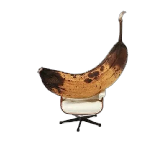furniture, crown, staff, hat, photorealistic, 3d render, concept art, ripe transparent PNG cut-out