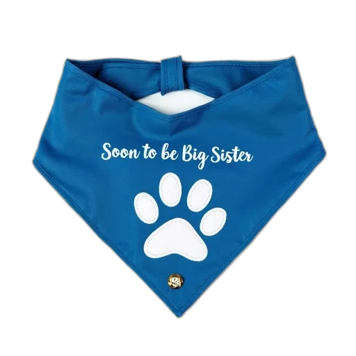 blue, bandana, white, paw, print, phrase, soon, big transparent PNG cut-out