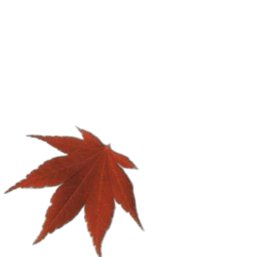tree, umbrella, crown, staff, pixel art, photorealistic, 3d render, concept art transparent PNG cut-out