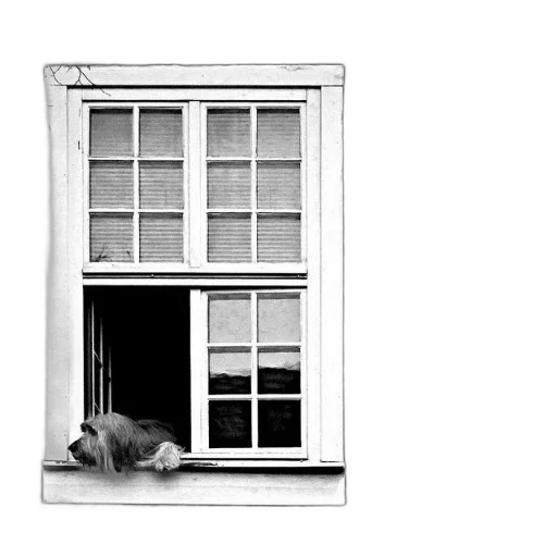 building, animal, furniture, creature transparent PNG cut-out