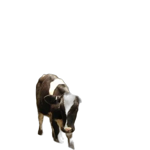 animal, creature, food, staff, 3d render, photorealistic, concept art, pixel art transparent PNG cut-out