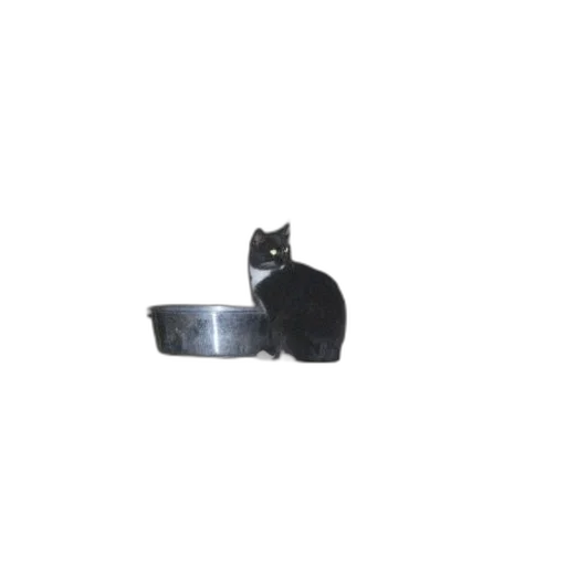 animal, staff, jewelry, crown, 3d render, black, white, cat transparent PNG cut-out