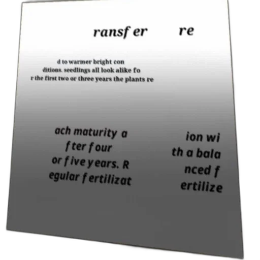 robot, creature, furniture, jewelry, outer space, text-based, image, discussing transparent PNG cut-out