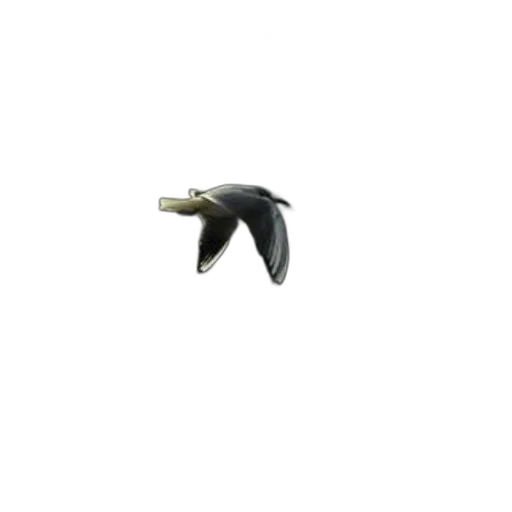 animal, weapon, jewelry, staff, 3d render, photorealistic, pixel art, concept art transparent PNG cut-out