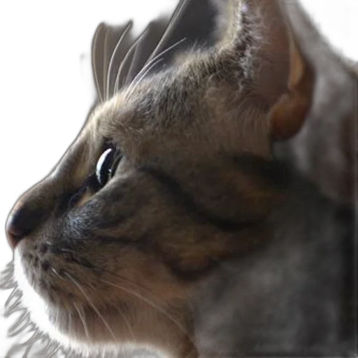 animal, creature, crown, staff, photorealistic, 3d render, oil painting, concept art transparent PNG cut-out