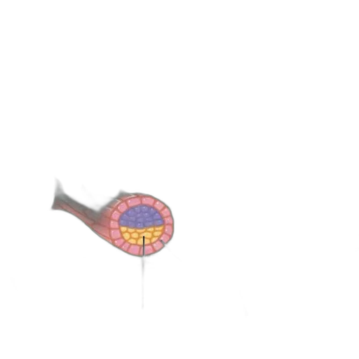 umbrella, flower, staff, weapon, pixel art, 3d render, concept art, vaporwave transparent PNG cut-out