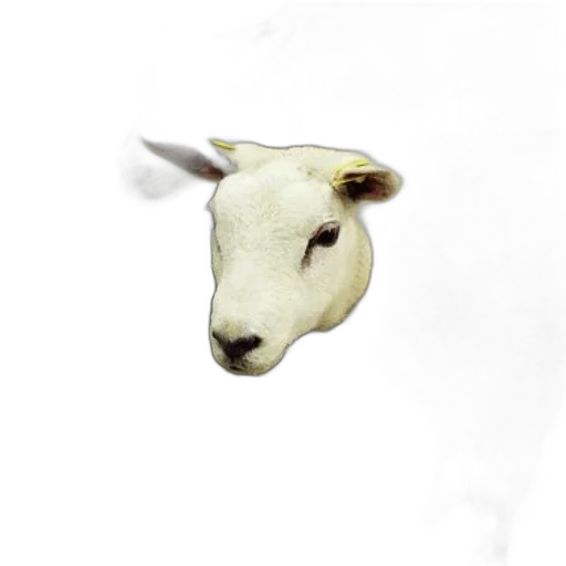 animal, creature, mask, face, photorealistic, 3d render, concept art, pixel art transparent PNG cut-out