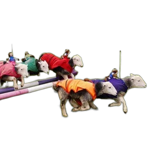 staff, animal, weapon, jewelry, group, sheep, wearing, colorful transparent PNG cut-out