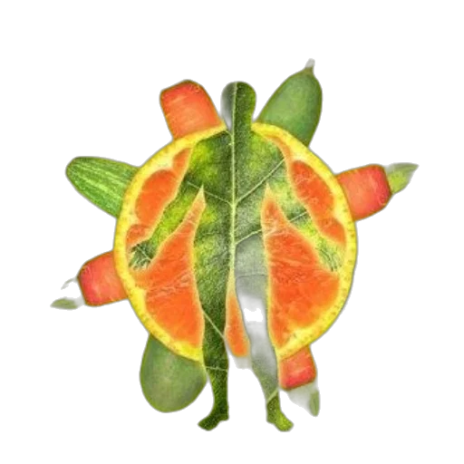 food, flower, crown, staff, watercolor, photorealistic, concept art, 3d render transparent PNG cut-out