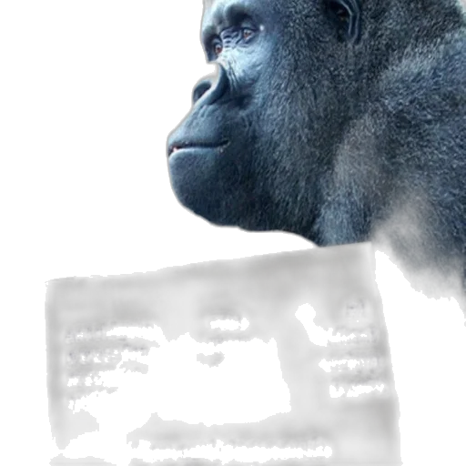 animal, face, creature, mask, photorealistic, concept art, 3d render, gorilla transparent PNG cut-out