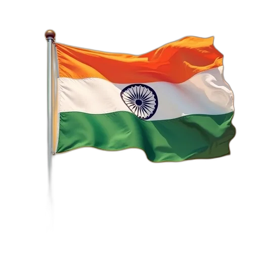 bharatiya, candidate, bjp, congress transparent PNG cut-out