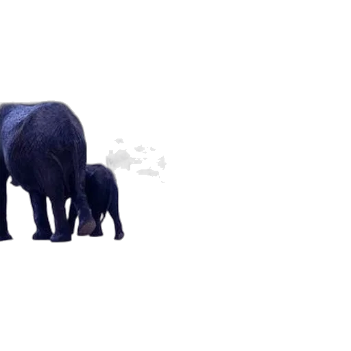 animal, creature, weapon, pixel art, 3d render, concept art, photorealistic, forest transparent PNG cut-out