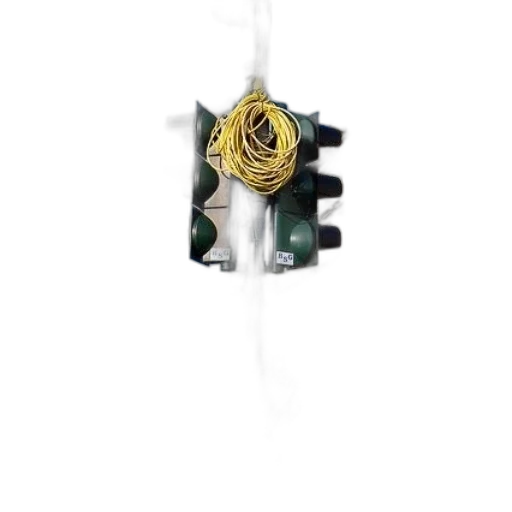 jewelry, crown, flower, staff, 3d render, concept art, photorealistic, man transparent PNG cut-out
