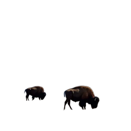 animal, creature, hair, car, concept art, 3d render, pixel art, photorealistic transparent PNG cut-out
