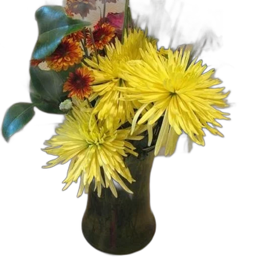 flower, staff, crown, bottle, photorealistic, 3d render, vase, filled transparent PNG cut-out
