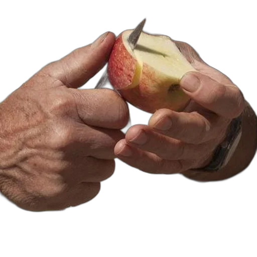 food, weapon, jewelry, animal, 3d render, photorealistic, person, hands transparent PNG cut-out