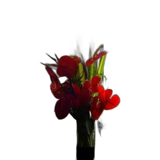 flower, crown, staff, jewelry, 3d render, photorealistic, oil painting, red transparent PNG cut-out
