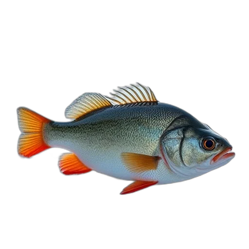animal, food, staff, creature transparent PNG cut-out