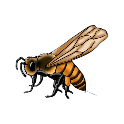 animal, creature, furniture, robot, concept art, 3d render, photorealistic, pixel art transparent PNG cut-out
