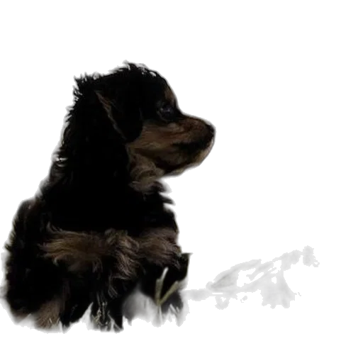 animal, creature, staff, photorealistic, concept art, 3d render, pixel art, small transparent PNG cut-out