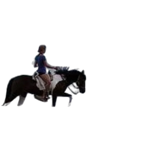 animal, photorealistic, pixel art, 3d render, concept art, two, people, horseback transparent PNG cut-out