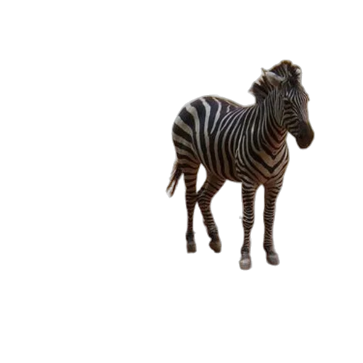 animal, creature, furniture, staff, 3d render, photorealistic, concept art, pixel art transparent PNG cut-out