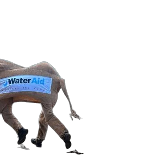 creature, animal, weapon, bottle, concept art, 3d render, underwater, blue transparent PNG cut-out