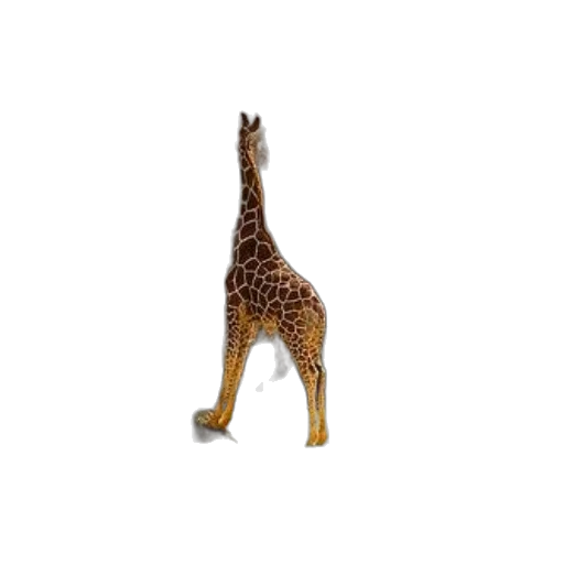 animal, creature, staff, furniture, 3d render, concept art, photorealistic, pixel art transparent PNG cut-out