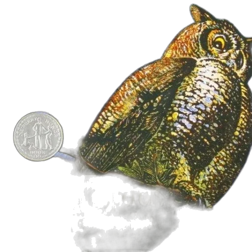 jewelry, food, hat, dragon, photorealistic, concept art, 3d render, outer space transparent PNG cut-out