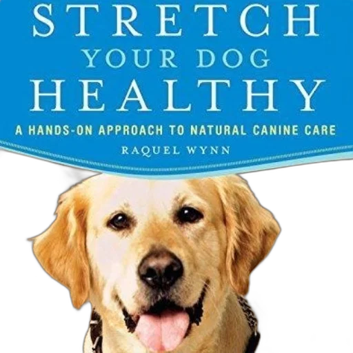 stretch, dog, healthy, hands-on, approach, natural, canine, care transparent PNG cut-out