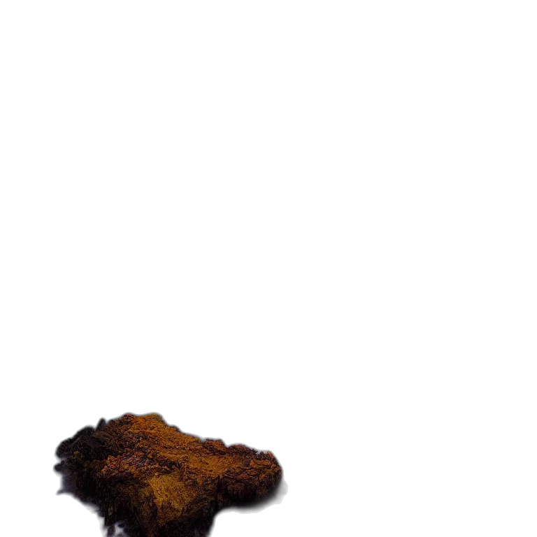 food, hair, staff, tree transparent PNG cut-out