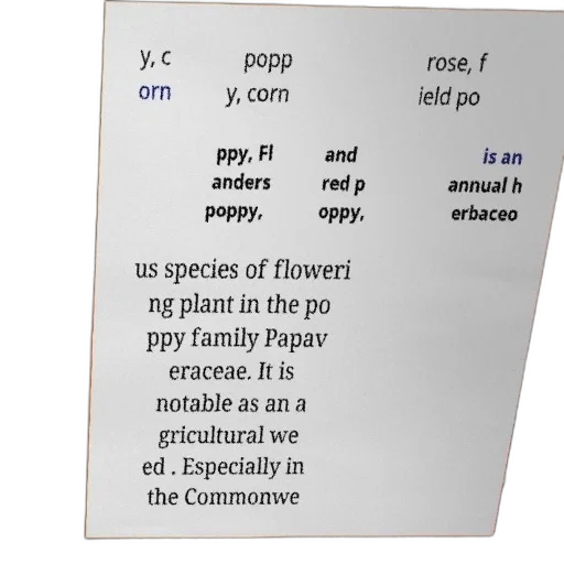 flower, text-based, image, list, names, including, corn, poppy transparent PNG cut-out