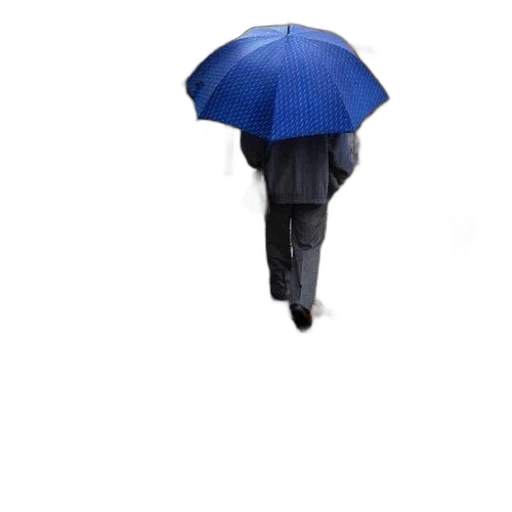 umbrella, jacket, staff, hat, 3d render, photorealistic, concept art, rain transparent PNG cut-out