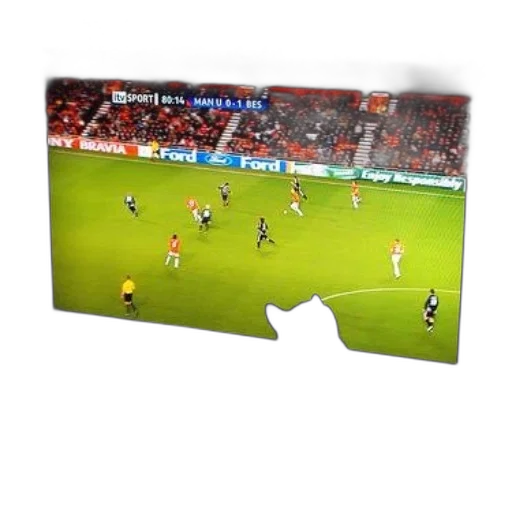 cat, sits, front, showing, soccer, match, score, man transparent PNG cut-out