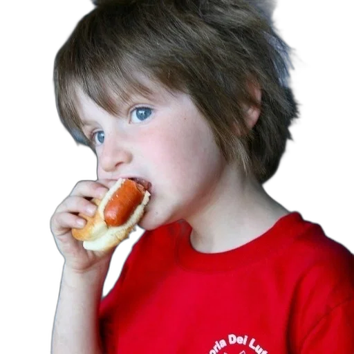 food, animal, staff, face transparent PNG cut-out