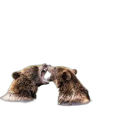 animal, shoes, creature, hat, photorealistic, concept art, 3d render, two transparent PNG cut-out
