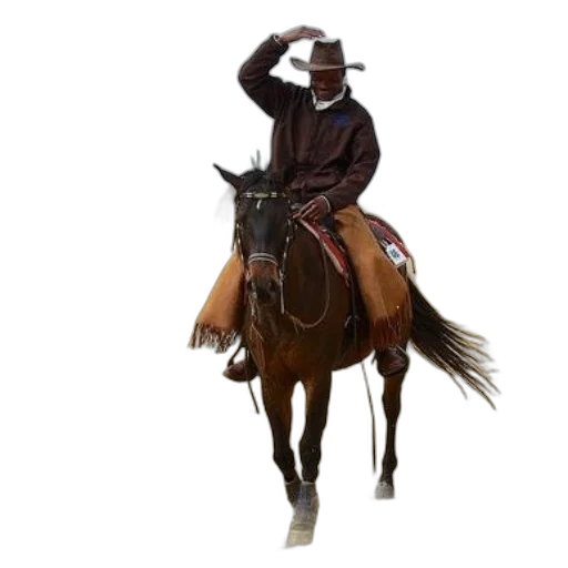 hat, staff, jacket, animal, concept art, photorealistic, 3d render, pixel art transparent PNG cut-out