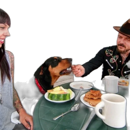 food, man, feeds, dog, outdoor, cafe, table, plates transparent PNG cut-out