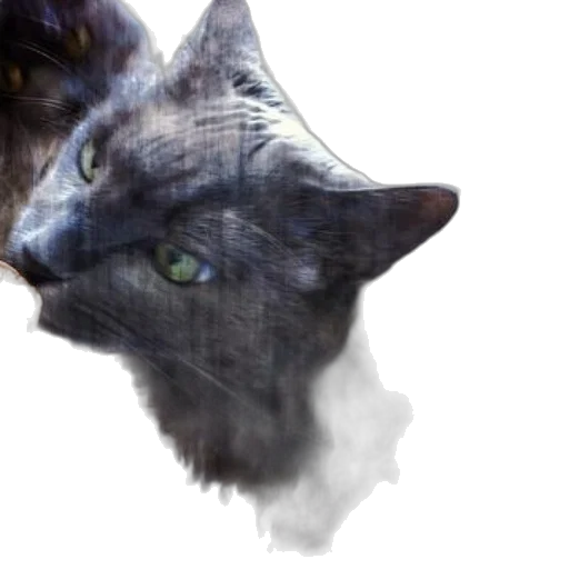 animal, dragon, creature, face, photorealistic, fantasy art, concept art, pixel art transparent PNG cut-out