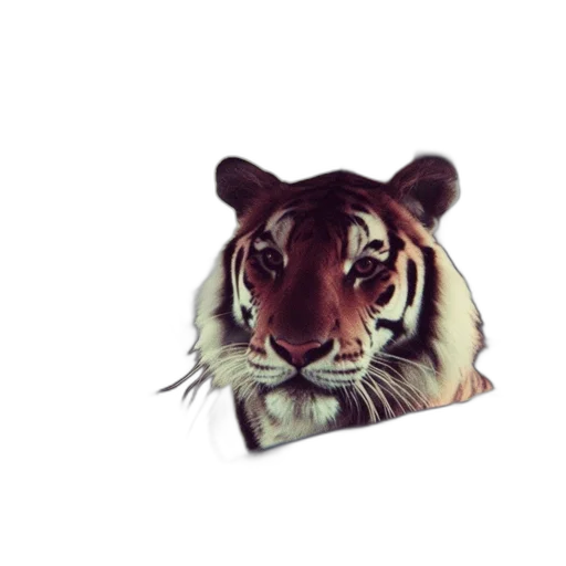 animal, creature, staff, face, 3d render, photorealistic, pixel art, concept art transparent PNG cut-out