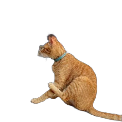 staff, animal, creature, weapon, 3d render, photorealistic, concept art, ginger transparent PNG cut-out