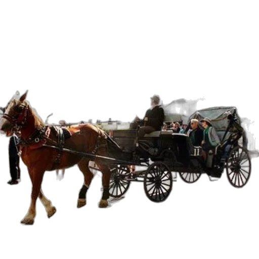 car, staff, animal, furniture, photorealistic, concept art, 3d render, pixel art transparent PNG cut-out