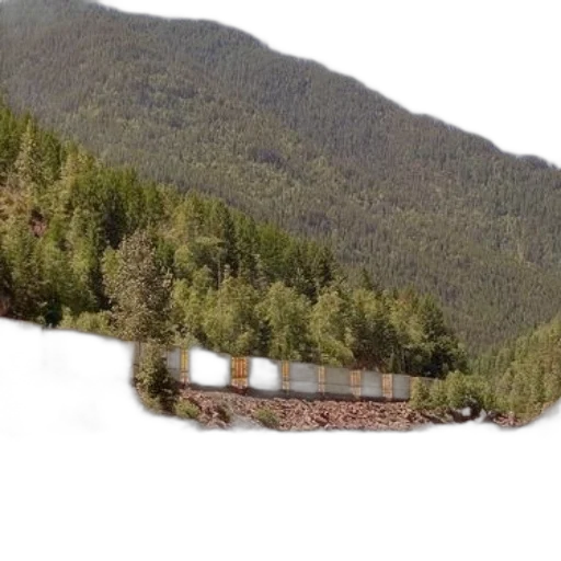 building, car, tree, face, photorealistic, 3d render, concept art, forest transparent PNG cut-out