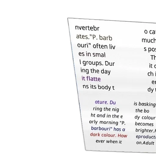 book, cover, text, about, species, invertebrates, featuring, colorful transparent PNG cut-out