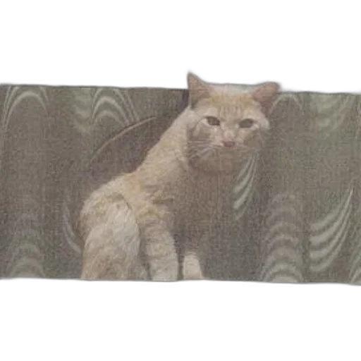 staff, animal, furniture, creature, photorealistic, oil painting, cat, light-colored transparent PNG cut-out